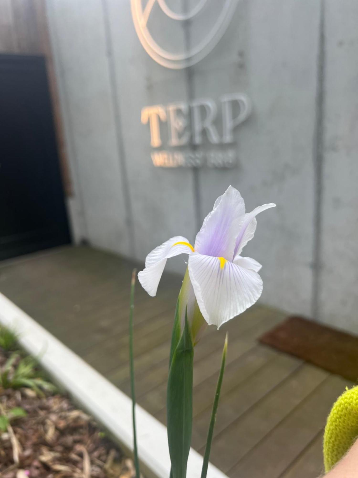 Terp Bed & Breakfast Poperinge Exterior photo
