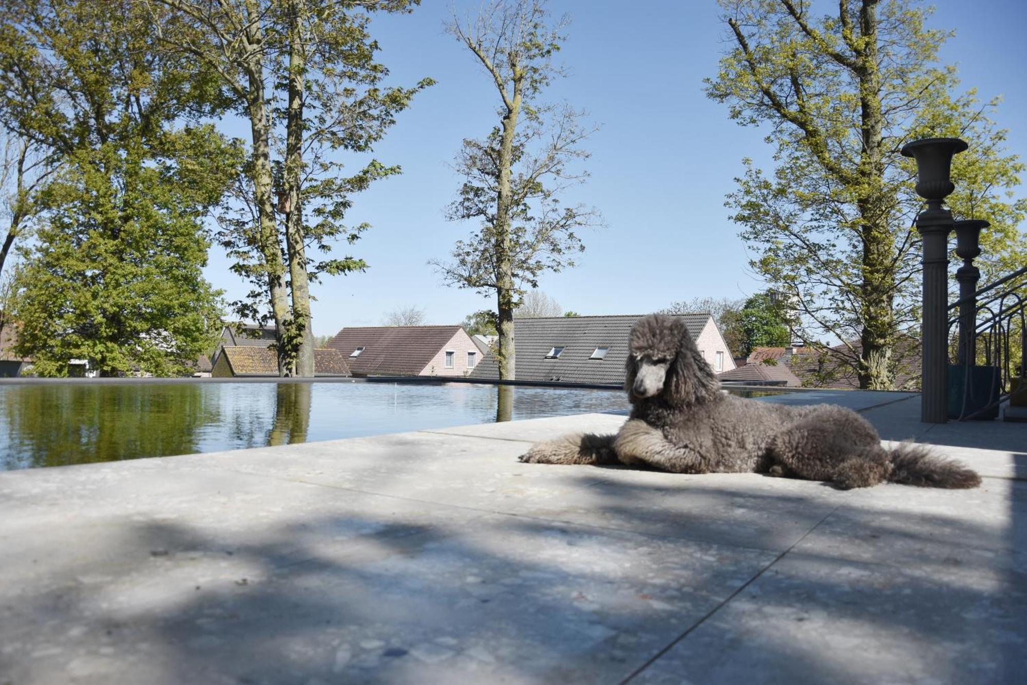 Terp Bed & Breakfast Poperinge Exterior photo